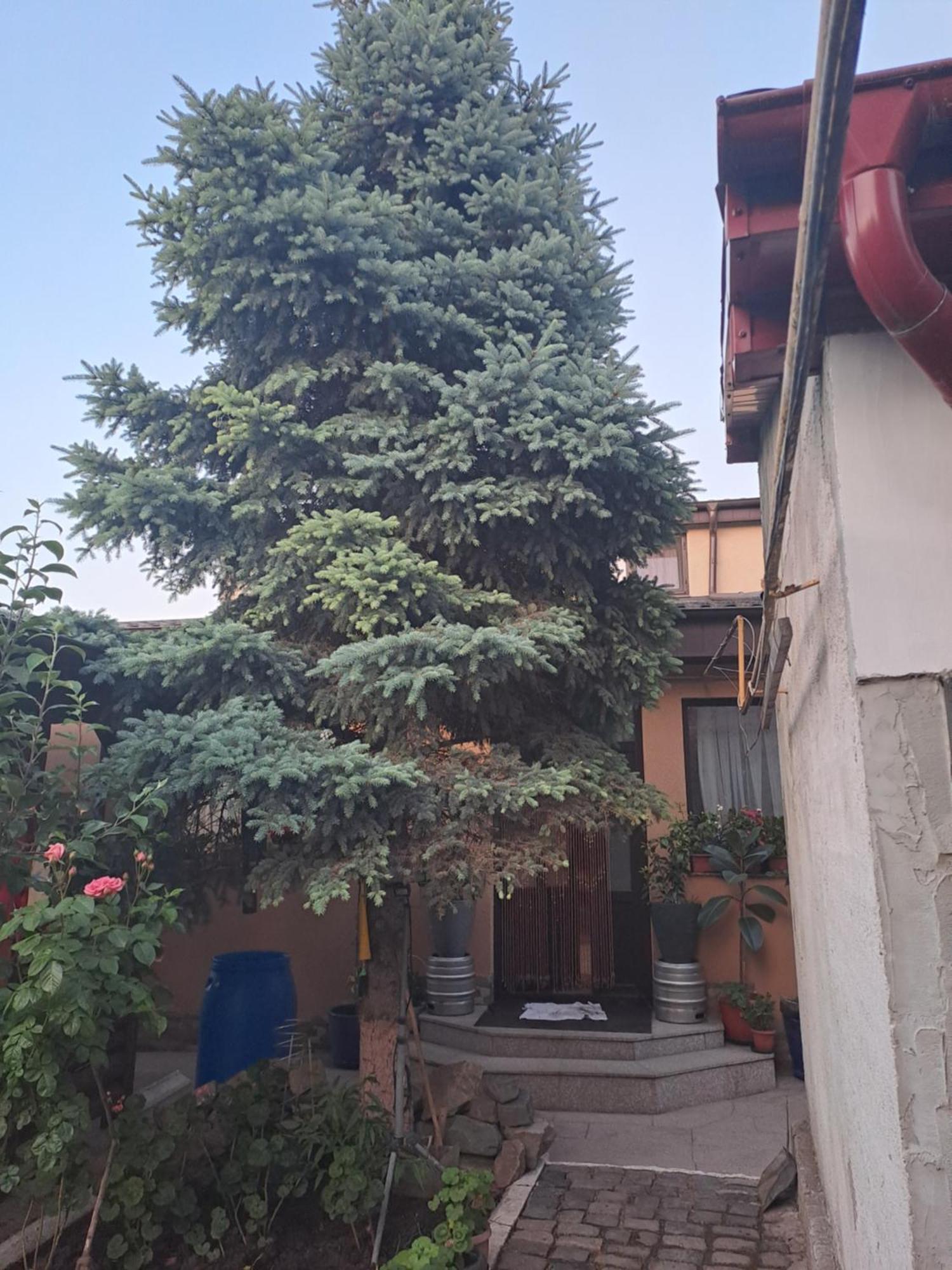 Casa Rusu Daire Galaţi Dış mekan fotoğraf